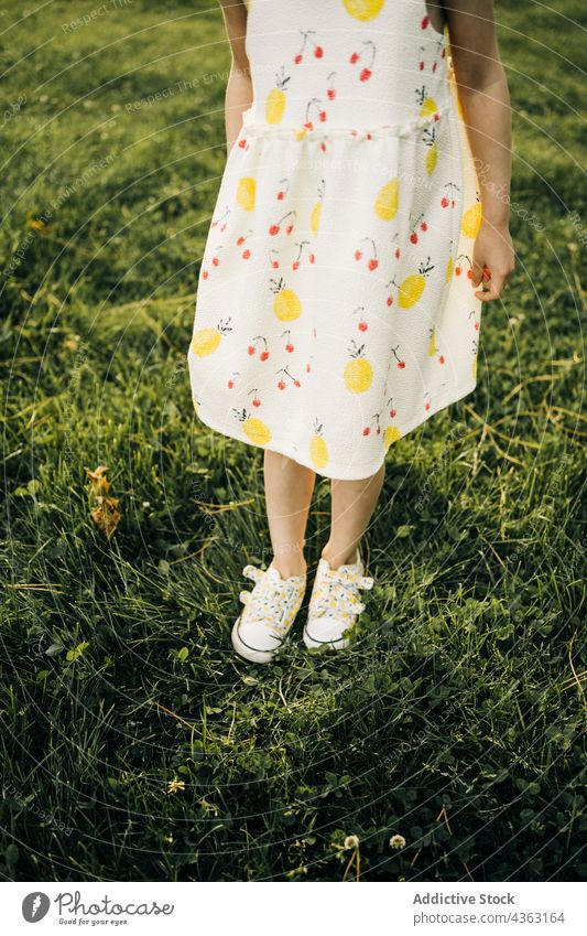 Kleines Mädchen im Sommerkleid steht auf grünem Gras Kleid Kind Natur wenig Schuh Park Wiese niedlich Kindheit Stil Frau Saison geblümt Schuhe Mode Sommerzeit