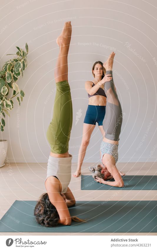 Ein Trainer hilft einer Frau, die während des Unterrichts Yoga übt Ausbilderin üben Gleichgewicht Hilfsbereitschaft Asana Trainerin Klasse Frauen Zusammensein