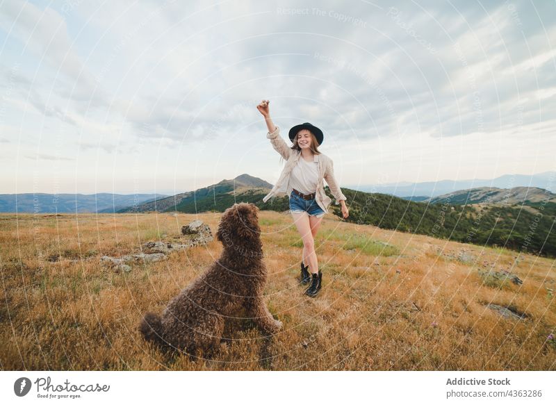 Fröhliche Frau spielt mit Hund auf einem Hügel in den Bergen spielen laufen Labradoodle Spaß haben sorgenfrei kleben Zusammensein spielerisch Besitzer Eckzahn