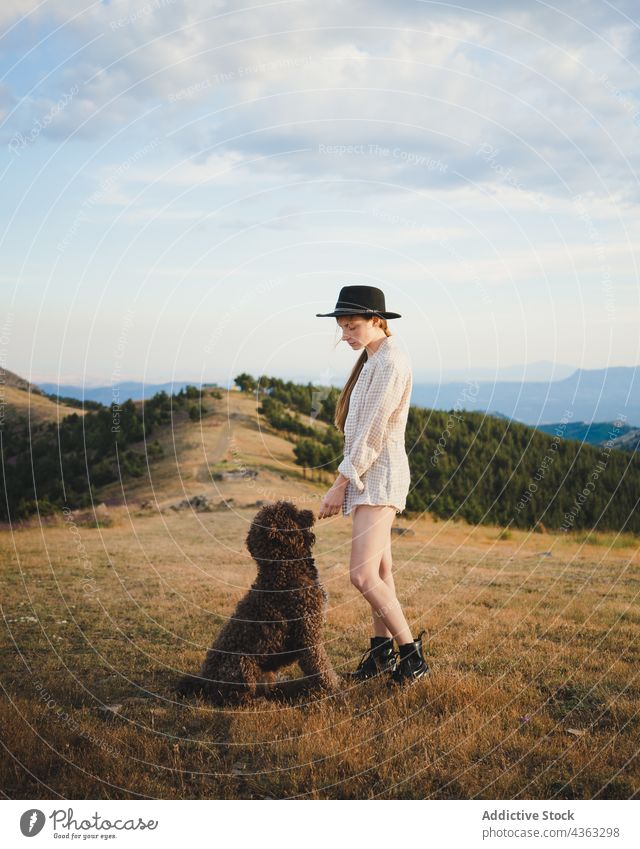 Frau mit flauschigem Hund auf einer Wiese Labradoodle Freund Tier Haustier Besitzer Eckzahn stehen Berge u. Gebirge Zusammensein loyal züchten Natur Begleiter