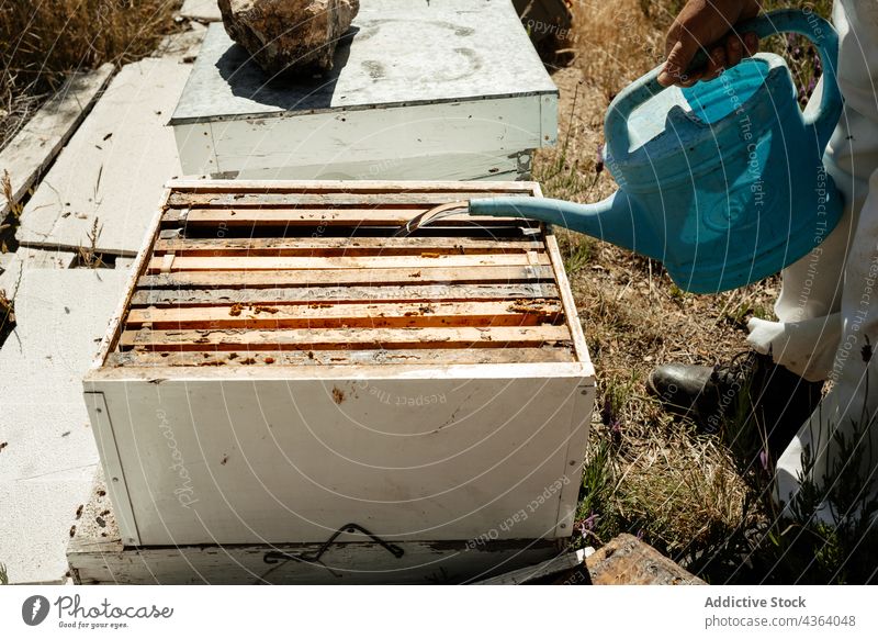 Imker gießt Wasser in den Bienenstockkasten eingießen Bienenkorb Gießkanne Werkzeug Ackerbau liquide Arbeit Bauernhof Person Landschaft Job Beruf professionell