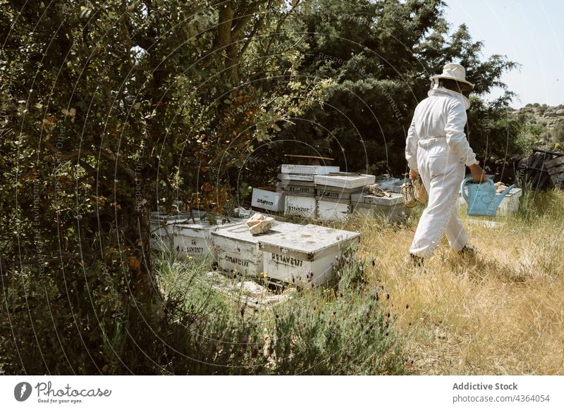 Imker bei der Arbeit in einem Bienenhaus mit Bienenstöcken Bienenkorb Bienenstock Ackerbau inspizieren prüfen Sommer behüten professionell Bauernhof Person