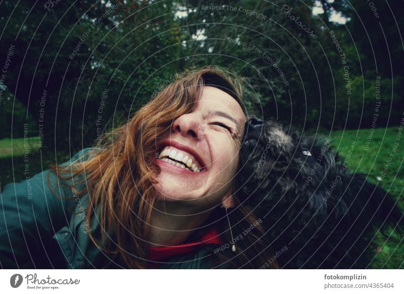Hund beschnüffelt stupsend das Gesicht einer lachenden Frau Kontakt Nähe Freude Zärtlichkeit Haustier Freundschaft Tier Zusammensein Fröhlichkeit Glück