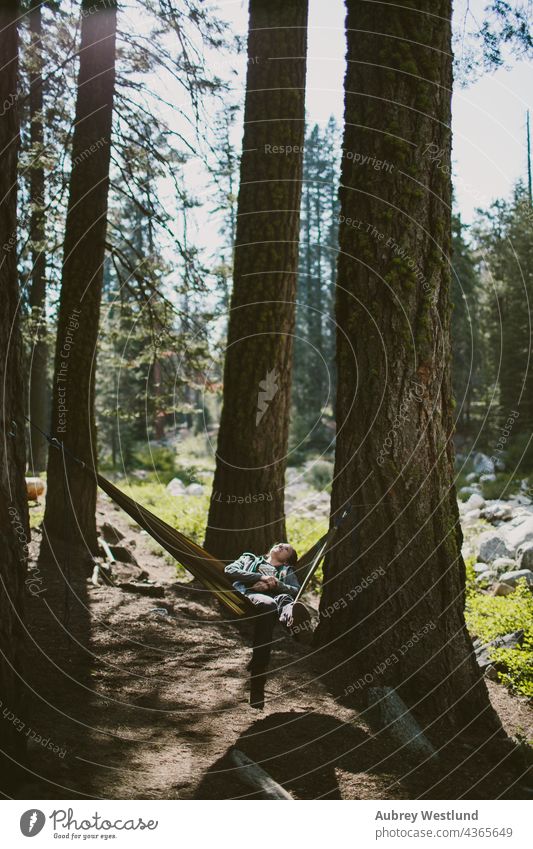 Frau liegt in einer Hängematte im Wald Erwachsene amerika Kalifornien Kultur Ausflugsziel Erkundung erkunden erkundend frisch Riese Mädchen Wanderer wandern