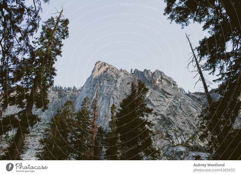 landschaft des granite mountain im sequoia national park Erwachsene amerika Kalifornien Kultur Ausflugsziel Erkundung erkunden erkundend Wald frisch Riese