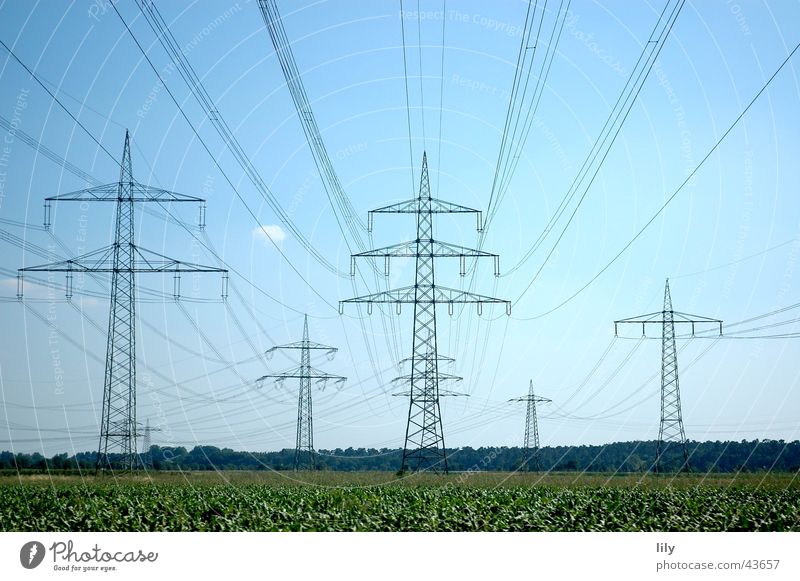 Mastenlandschaft Elektrizität Strommast grün Wiese blau Himmel