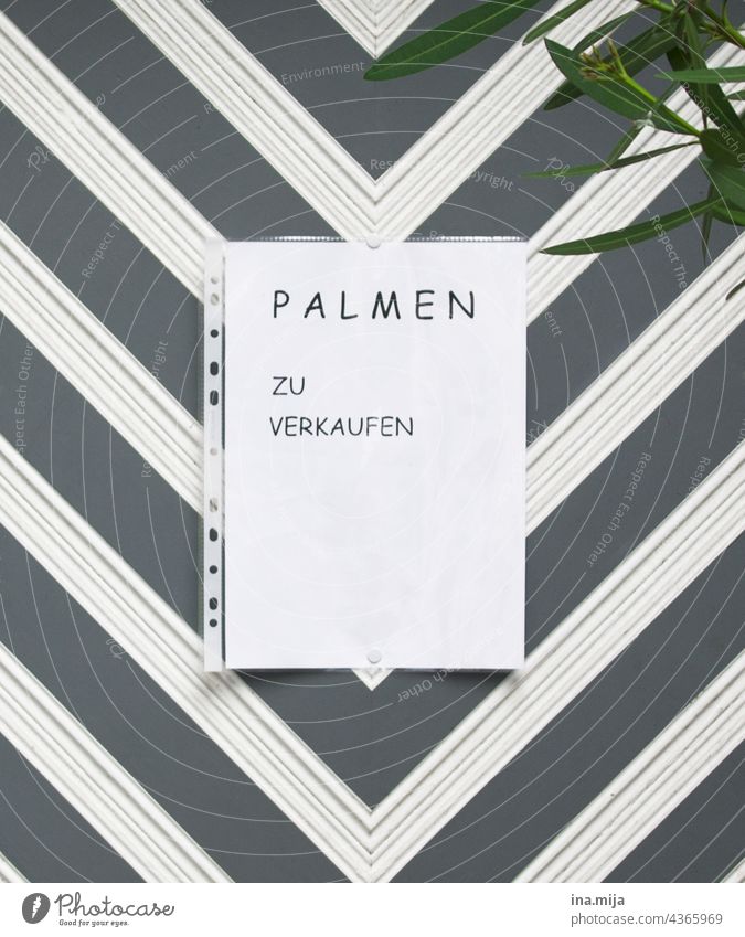 Sale: Palmen zu verkaufen Verkauf anbieten Verkaufsschild Handel Pflanzenhandel Angebot Markt Schilder & Markierungen Werbung Zettel Konsum Klarsichthülle