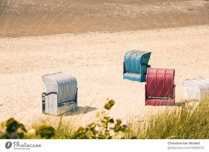 Strandkörbe am Nordseestrand bei Niedrigwasser mit Dünengras im Vordergrund Ruhe Strandkorb menschenleer Sand Sommer Erholung Nordseeinsel Sonnenlicht