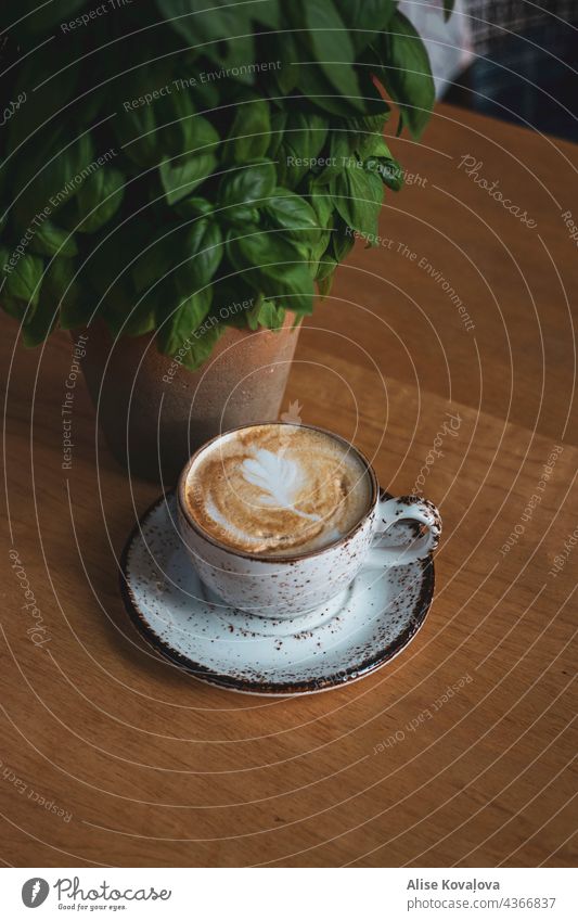 Kaffee und Basilikum Kaffeetasse frühstücken Milchkaffee Kaffeetrinken Getränk genießen Heißgetränk Kaffeepause Kaffeetisch