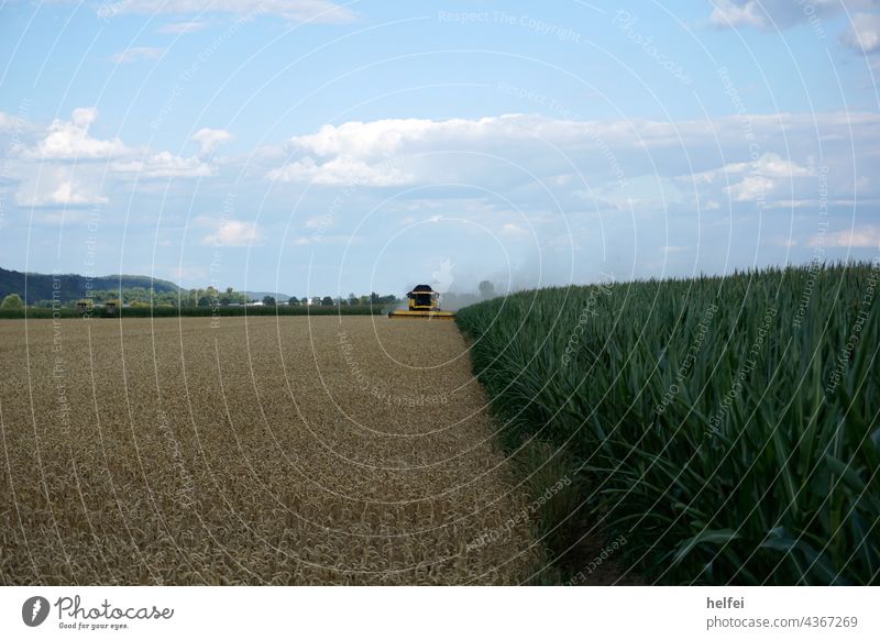 Mähdrescher auf einem Feld bei der Arbeit bei bestem Wetter mit blauen Himmel Landwirtschaft Ackerbau Erntemaschine ländlich Maschine Weizen Landschaft