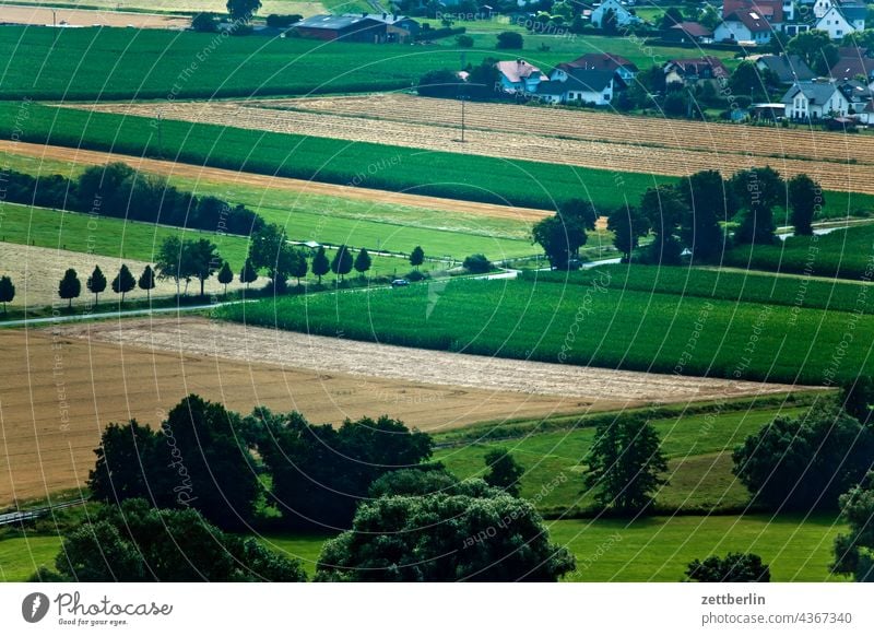 Landschaft unter der Amöneburg landschaft landwirtschaft ackerbau feld feldmark fläche ackerfläche straße allee baum natur ausblick weitblick fernblick