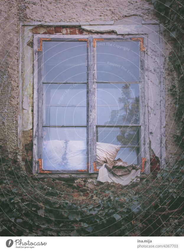 altes Fenster mit schmutzigem Kissen wohnen Haus trist untergekommen Vergänglichkeit Fassade Gebäude Mauer
