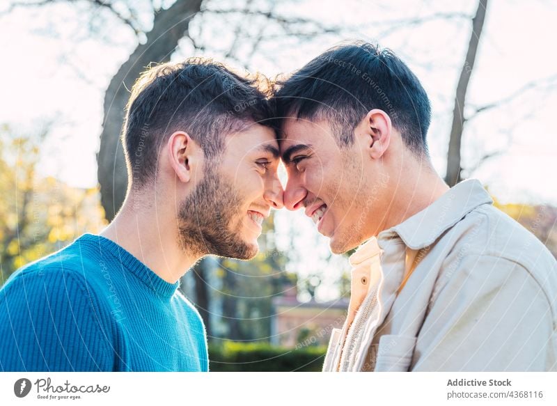 Verliebtes schwules Paar steht sich im Park gegenüber Männer Homosexualität lgbt Liebe Angesicht zu Angesicht Berührungsnase heiter männlich Partnerschaft Glück