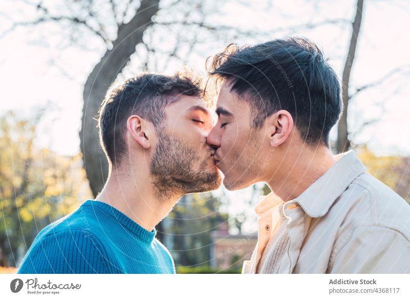 Verliebtes schwules Paar steht sich im Park gegenüber und küsst sich Männer Homosexualität lgbt Liebe Angesicht zu Angesicht heiter männlich Partnerschaft Glück
