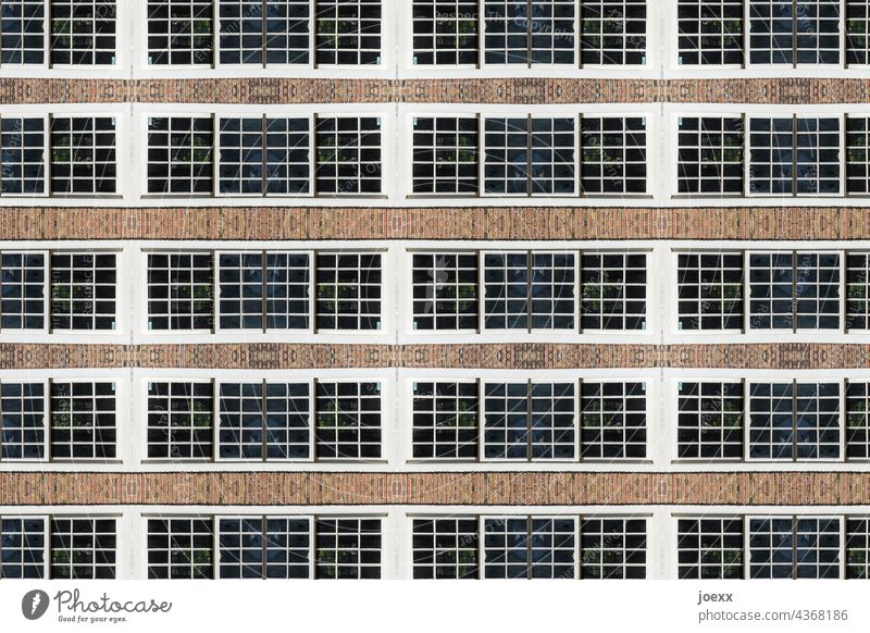 Fensterreihe an Fassade Außenaufnahme Farbfoto Wand Haus Gebäude Mauer Menschenleer Architektur Muster Wiederholung Eintönig Strukturen & Formen
