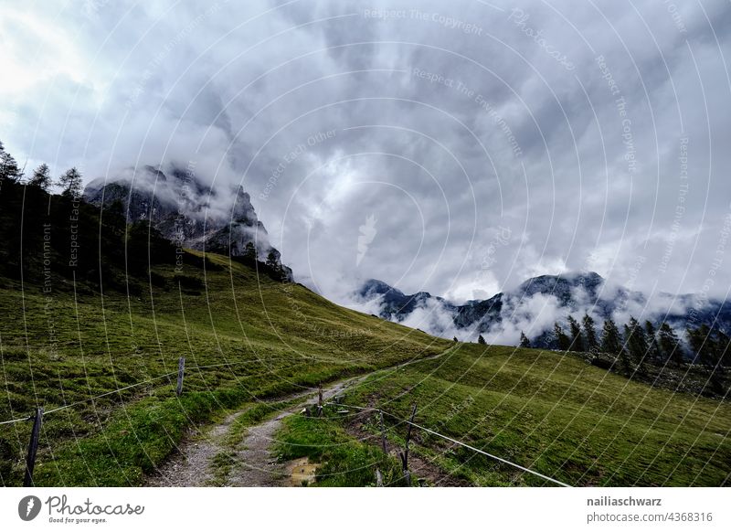 Alpenlandschaft idyllisch Österreich Europa Erholung Umwelt Landschaft Feld Felsen Fröhlichkeit Hochkönig frisch gigantisch natürlich schön ruhig Begeisterung