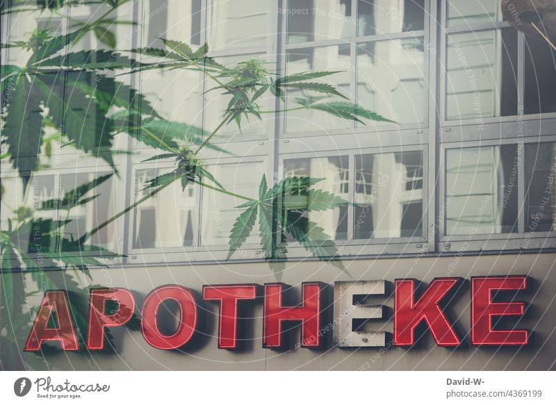 Cannabis aus der Apotheke - Legalisierung zu Medizinischen Zwecken medizinisch legalisieren Marihuana Gesundheit Verschreibung Drogen Deutschland Hanf