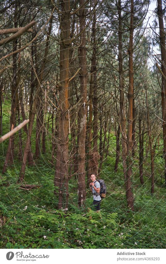 Reisender Mann beim Trekking im Wald im Sommer Wanderung Wälder reisen Nachlauf Abenteuer Wanderer erkunden männlich Fernweh Spaziergang Natur Backpacker