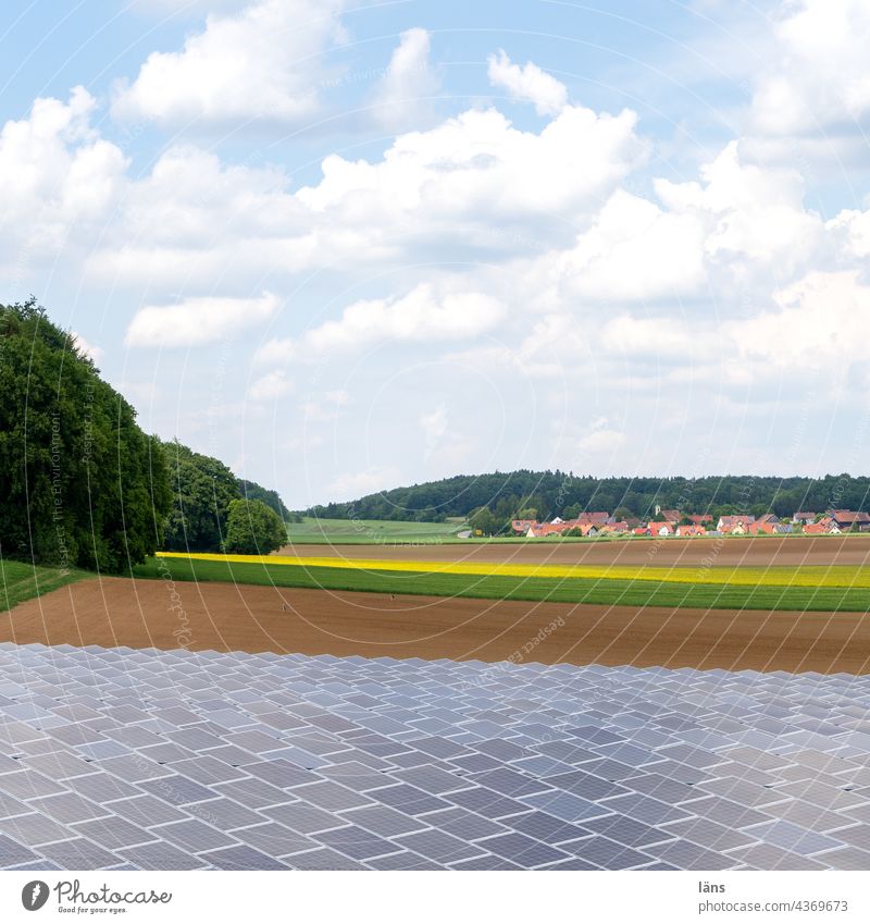 Solarpark Sonnenenergie Farbfoto Erneuerbare Energie Energiewirtschaft Technik & Technologie Zukunft Solarzelle Menschenleer nachhaltig Fortschritt Sonnenlicht