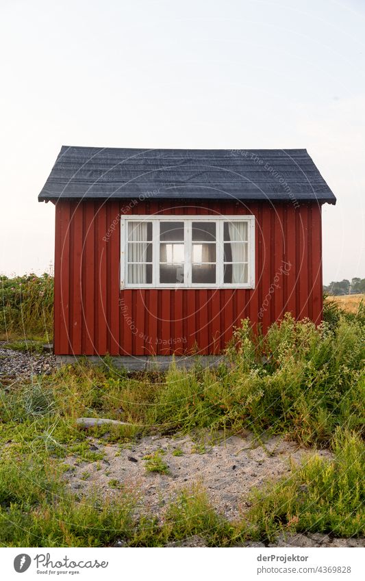 Strandhaus auf der hyggeligen Insel Ærø in Dänemark VII Holzhaus Skandinavien Einsamkeit Idylle Norden reisen sand europa Küste Landschaft Menschenleer