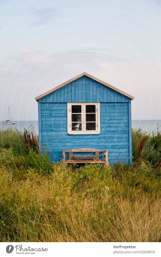 Strandhaus auf der hyggeligen Insel Ærø in Dänemark II Holzhaus Skandinavien Einsamkeit Idylle Norden reisen sand europa Küste Landschaft Menschenleer Traumhaus