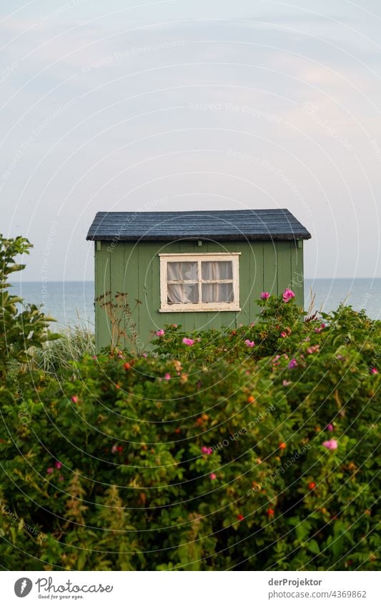 Strandhaus auf der hyggeligen Insel Ærø in Dänemark I Holzhaus Skandinavien Einsamkeit Idylle Norden reisen sand europa Küste Landschaft Menschenleer Traumhaus