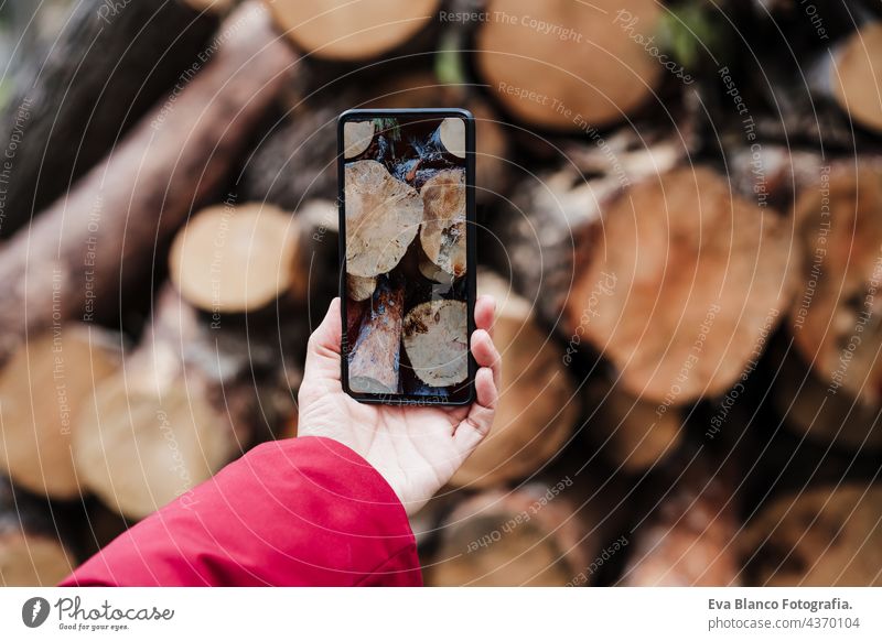 unerkennbare Frau Hand, die Foto mit Handy von Holzstämmen während Winter oder Herbst Saison. Lebensstil und Natur unkenntlich Bild Wald Technik & Technologie
