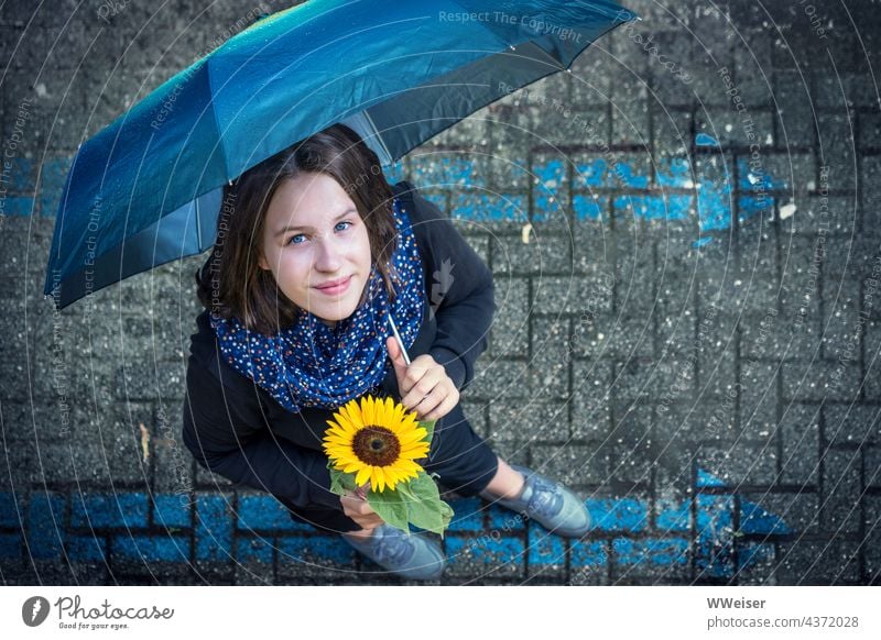Wenn der regnerische Herbst kommt, ist es gut, einen privaten Sonnenschein zu haben Regen Regenschirm Mädchen junge Frau Sonnenblume blau gelb Blume