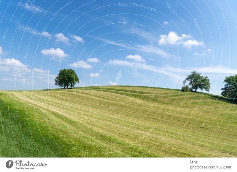 Screen Saver Landschaft wiese gemäht Gras grün Sommer Himmel Landwirtschaft Umwelt Wolken hügelig Wiese ländlich Außenaufnahme Bayern Menschenleer Screensaver