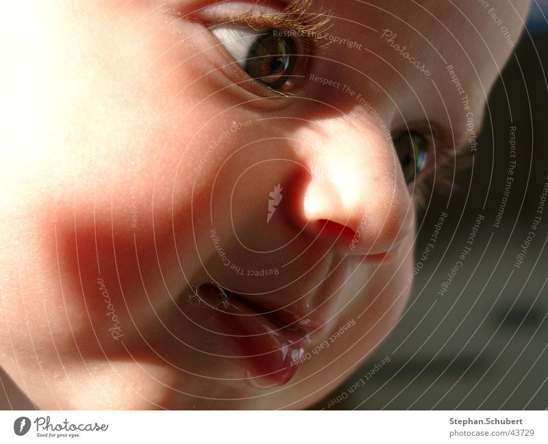 Was guckst Du? Baby Kleinkind Lippen Wimpern fixieren Kind Kopf Gesicht Auge Nase Mund Schatten Detailaufnahme Blick