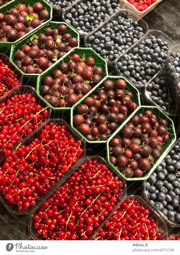 Beeren Fruchtmischung aus Johannisbeeren, Heidelbeeren und roten Stachelbeeren in Marktschalen reif Gemüse und Früchte Gesunder Lebensstil Rohkost Nahaufnahme