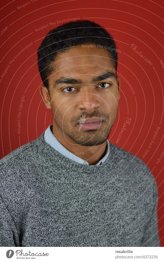 junger Mann schaut ernst in die Kamera vor rotem Hintergrund gemischtrassig kaukasisch-afrikanisch Porträt Mensch maskulin Junger Mann Erwachsene Locken