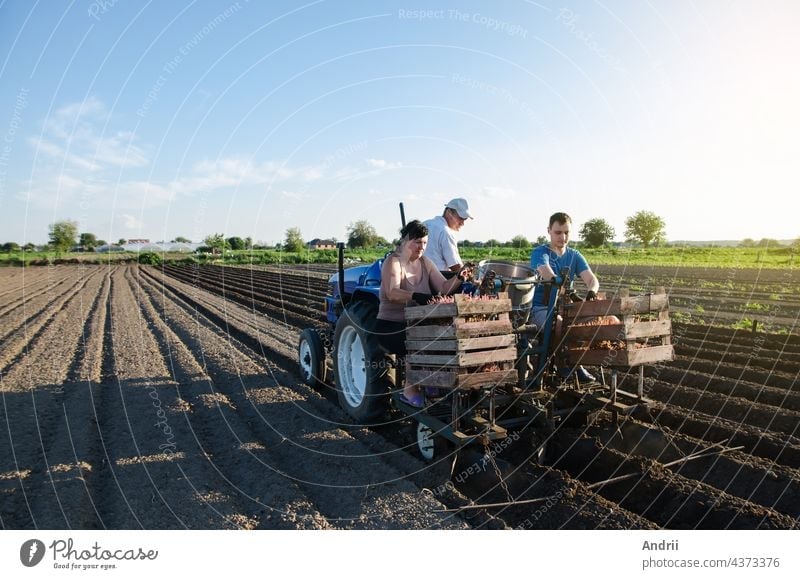 Arbeiter pflanzen Kartoffeln auf dem Feld. Automatisierung des Pflanzvorgangs von Kartoffelsamen. Landwirtschaftliche Technologien. Agroindustrie und Agrobusiness. Neue technologische Lösungen zur Vereinfachung der Arbeit.