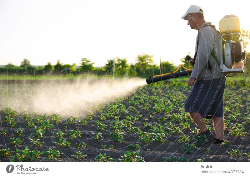 Ein Landwirt behandelt die Plantage mit einer Rückenspritze mit Pestiziden. Schutz der Pflanzen vor Insekten und Pilzbefall. Resistenz der Pflanzen gegen Schädlinge. Chemische Industrie in der Landwirtschaft Landwirtschaft
