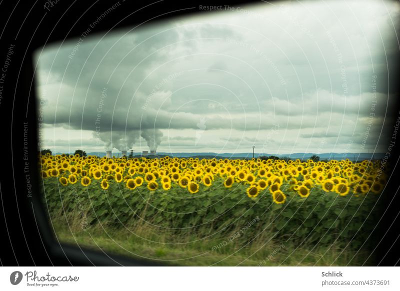 Optimismus - Sonnenblumenfeld vor einem Kernkraftwerk das bedrohliche Wolken entlässt gesehen durch ein Autofenster - schnell weg! Himmel bedeckt Gefahr