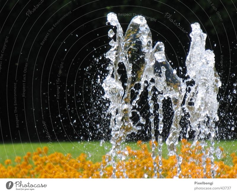 Wasserballett Sommer Erfrischung Springbrunnen tanzendes Wasser