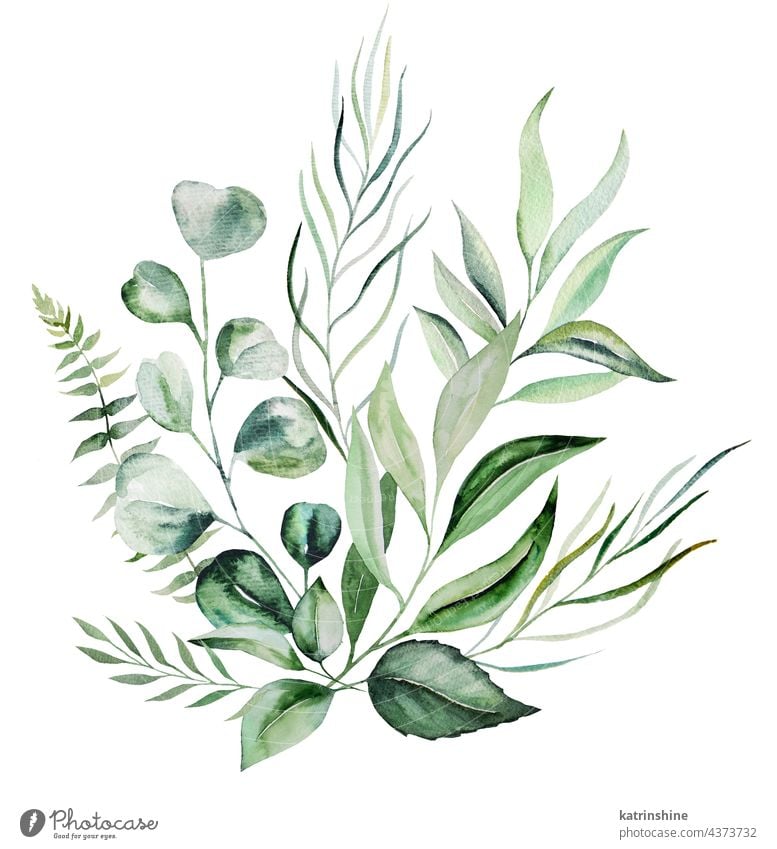 Aquarell botanische grüne Blätter Bouquet Illustration Dekoration & Verzierung Zeichnung Element Laubwerk Garten handgezeichnet vereinzelt Ornament Farbe