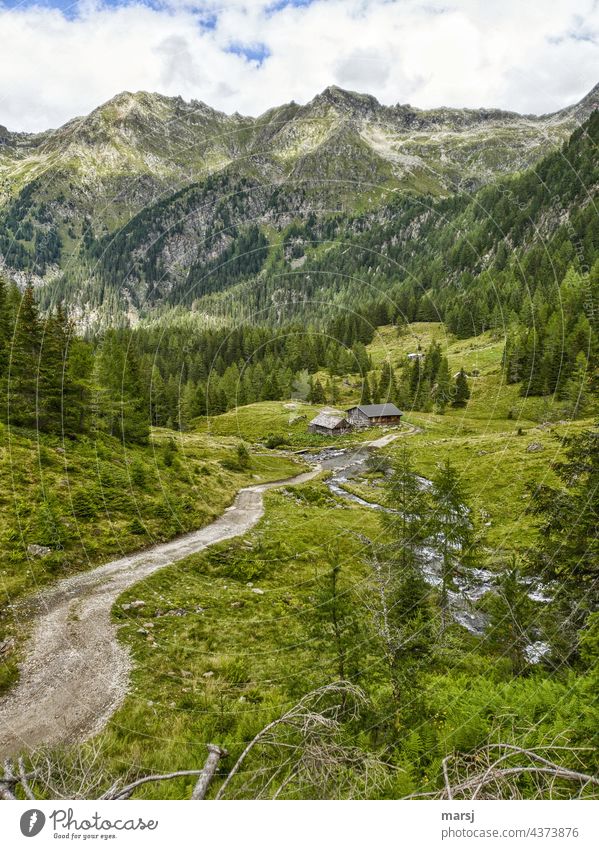 Neualm im Obertal. Almidylle am Obertalbach. Almhütten Bergbach Almromantik Ausflug Abenteuer Landschaft erholen genießen Ruhe Stille Alleinsein Freiheit