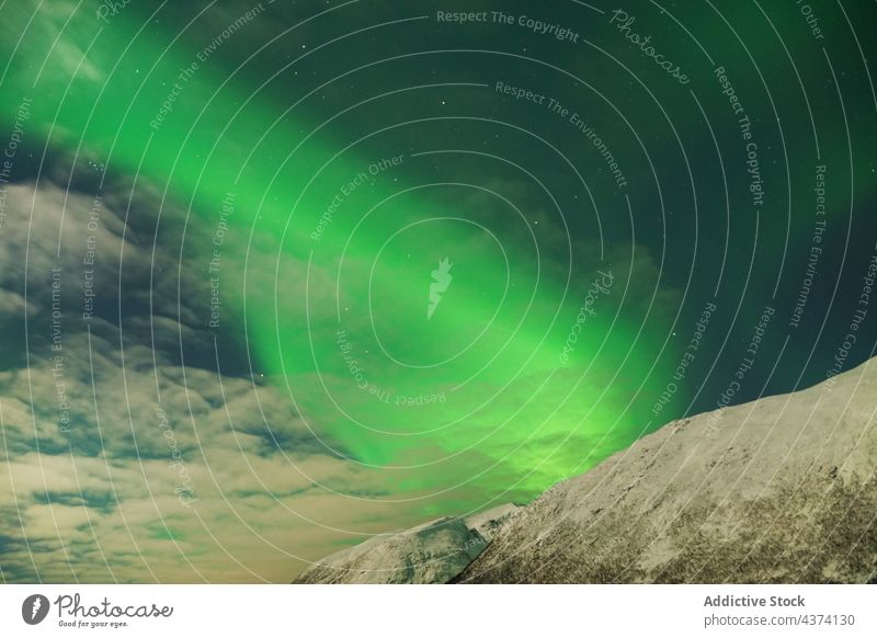 Spektakuläre Nordlichter in Tromso Aurora Kattfjorden Insel Kvalya Region Norwegen Winter borealis Landschaft Island Norden Raum Himmel nördlich Astronomie