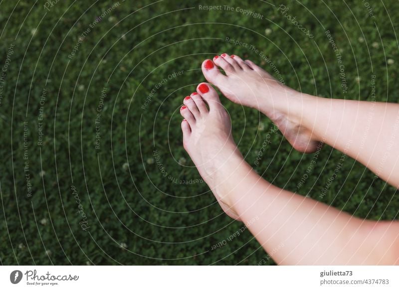 Nahaufnahme der weiblichen Füße mit rot lackierten Zehennägeln beim Sonnenbad Füße hoch Zehennagel Detailaufnahme sich sonnen Sonnenschein sexy schön Erwachsene