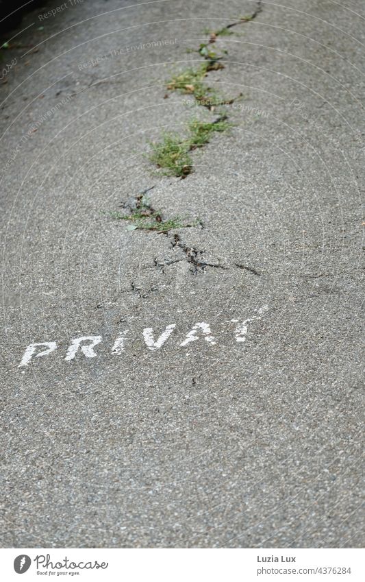 PRIVAT - geheimnisvoller Anfang eines Privatwegs zu einem nicht einsehbaren Grundstück privat Schilder & Markierungen Hinweisschild Schriftzeichen Außenaufnahme