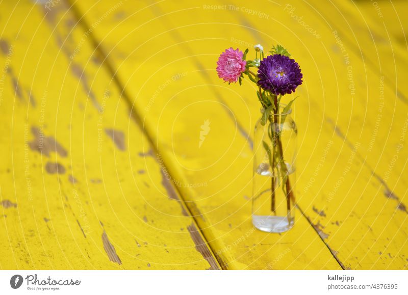 tischgarnitur Blume Tisch gelb Biertische Schmuck Vase Dekoration & Verzierung Blumenstrauß Blüte Sommer Design Stil Lifestyle Häusliches Leben Pflanze Blatt