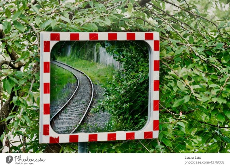 Schienen im Spiegel, darum herum viel Grün Bahn Eisenbahn S-Bahn Gleise Laub grün rot weiß Schienenverkehr Gleisbett Bahnfahren Verkehrswege reisen verreisen