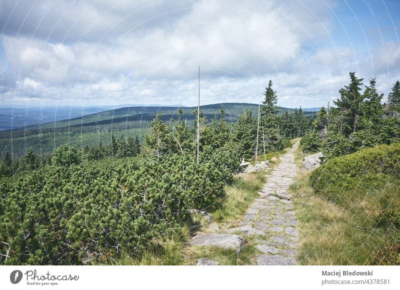 Steinpfad im Riesengebirge (Karkonosze), Tschechische Republik. Berge Weg Nachlauf Tschechien Natur Abenteuer Fernweh Baum grün Sommer Landschaft Wildnis