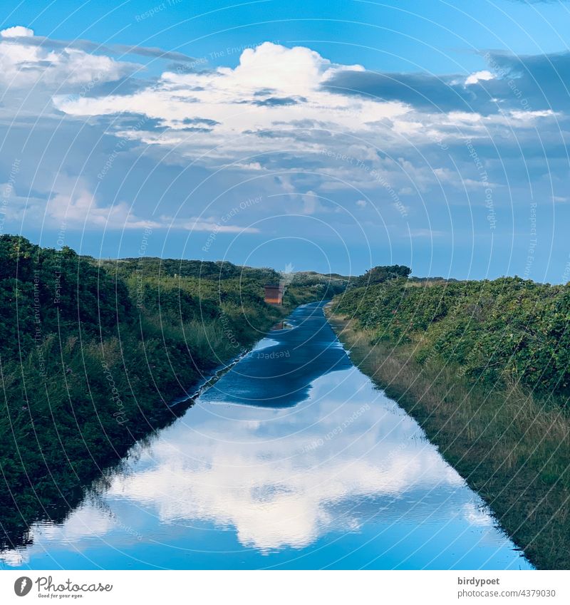 Wasser auf dem Weg zeigt Wolken Sonne weiß blau lila Heidekraut heidnisch Landschaft Nordsee Insel