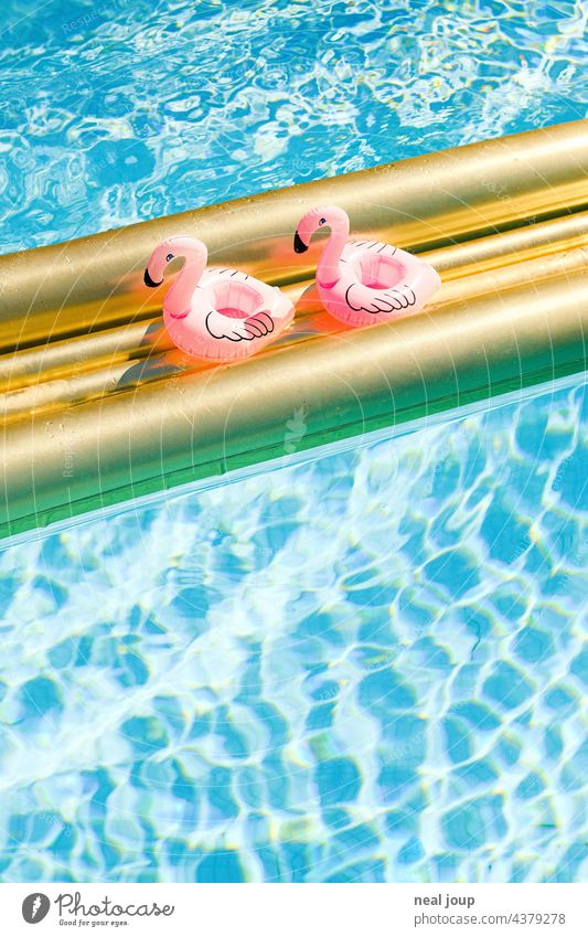 Zwei aufblasbare Flamingos genießen auf einer goldenen Luftmatratze in kristallklarem Wasser ihre Mittagspause Urlaub Pause Freunde Paar Paarurlaub Sommerurlaub
