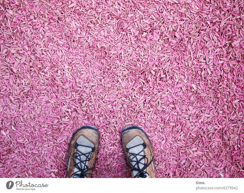 kurz mal besetzt | Museumsgarten Rindenmulch Schuhe rosa Holzspäne Bodenbedeckung Kleinteile Struktur Muster Oberfläche viele Vogelperspektive Mulch