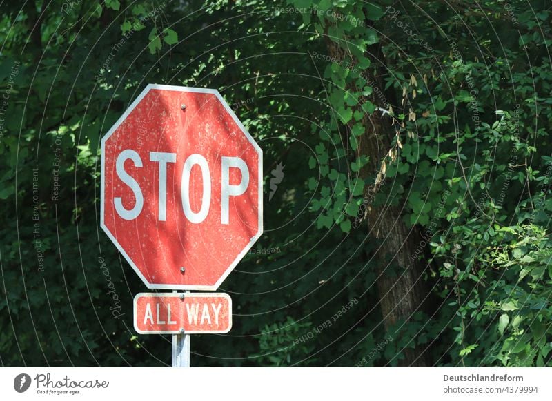 Rotes Stop Schild vor grünen Bäumen Hinweisschild Schilder & Markierungen Verkehr Verkehrszeichen Halt rot Stoppschild Straße Verkehrsschild Verkehrswege