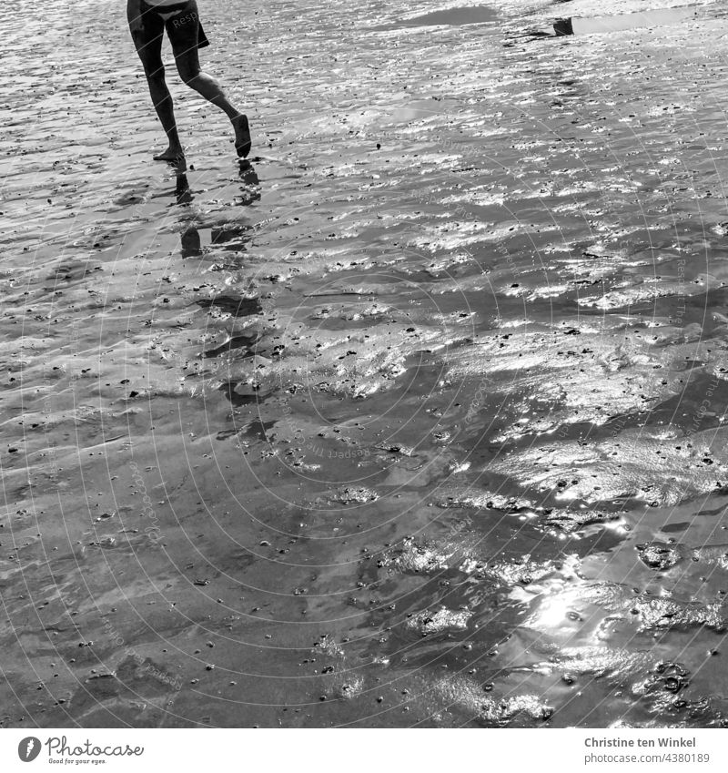 Spaziergang allein, Beine spiegeln sich im Watt, nasser Sonnenglanz Wattwanderung Frau laufen Schönes Wetter Sommer Wasser Spiegelung Ferien & Urlaub & Reisen