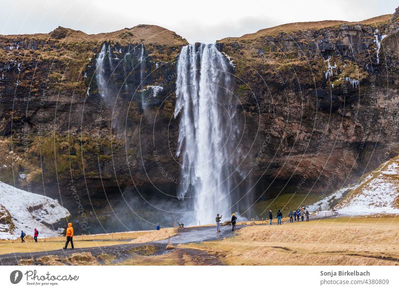 Seljalandsfoss - Islands Wasserfälle im Winter Wasserfall isländisch Wasserkraft Landschaft Natur gewaltig Attraktion Tourismus Fremdenverkehr Sehenswürdigkeit